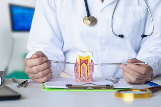 Best Emergency Denture Repair in Burlington, WI